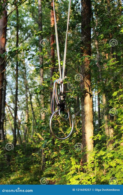 bdsm sexporn|Tied To Tree Naked And Riding A Pole .